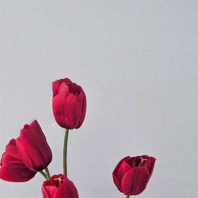 امي دم الشرايين [My Mother's Arterial Blood]