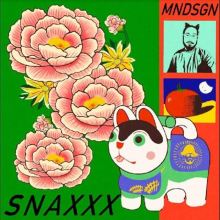 Album cover for Snaxxx by Mndsgn