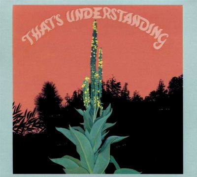 That's Understanding
