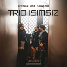 Album cover for Brahms, Coll, Korngold by Trio Isimsiz