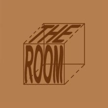 Album cover for The Room by Sam Gendel / Fabiano do Nascimento
