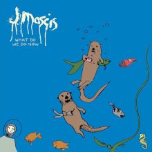 Album cover for What Do We Do Now by J Mascis