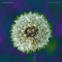 Album cover for Focus on Nature by The Bevis Frond