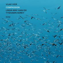 Album cover for Compassion by Vijay Iyer / Linda May Han Oh / Tyshawn Sorey