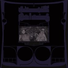 Album cover for Exotic Birds of Prey by Shabazz Palaces