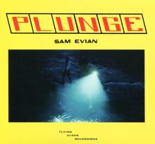 Album cover for Plunge by Sam Evian