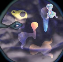 Album cover for Quadric Surfaces by Hieroglyphic Being