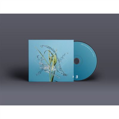 Stream