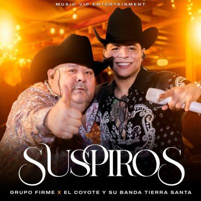 Suspiros