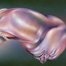 Album cover for The Warping by Walt Disco