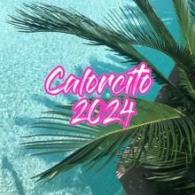 Calorcito 2024