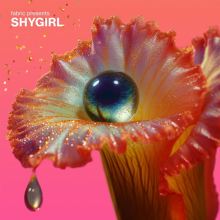 Album cover for Fabric Presents Shygirl by Shygirl