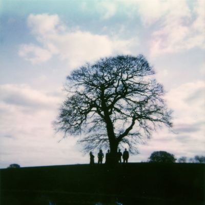 The Big Trees, the Little Trees