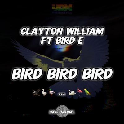 Bird Bird Bird