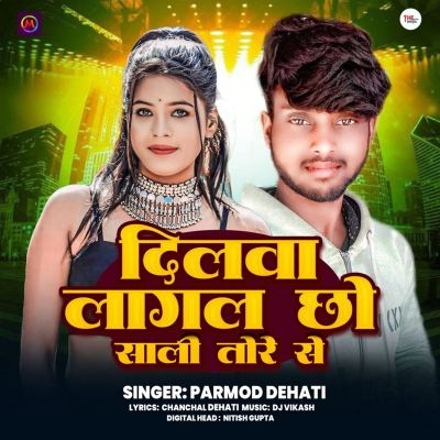 Dilwa Lagal Chho Sali Tore Se