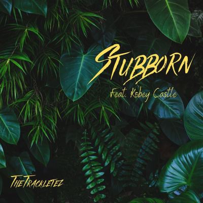 Stubborn