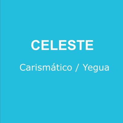 Live Session 4: Carismático/Yegua