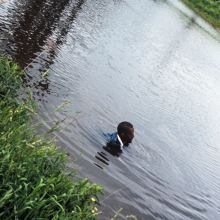 Julius Eastman, Vol. 4: The Holy Presence