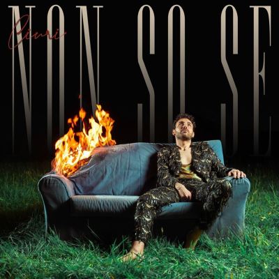 Non So Se