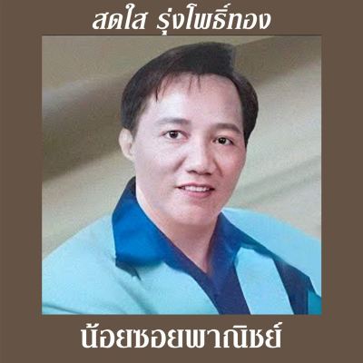Noi Soi Panit