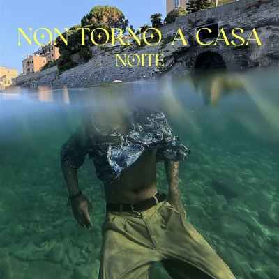 Non Torno a Casa