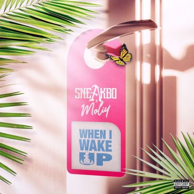 When I Wake Up