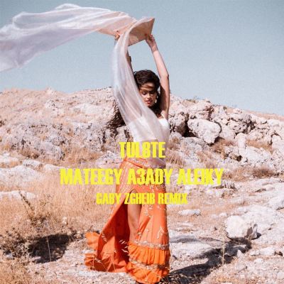 MATEEGY A3ADY ALEIKY [GABY ZGHEIB RMX]