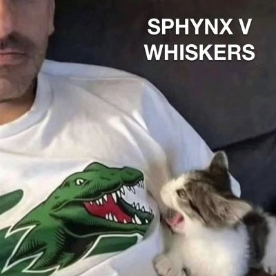 SPHYNX V WHISKERS