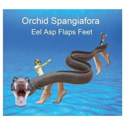 Eel Asp Flaps Feet