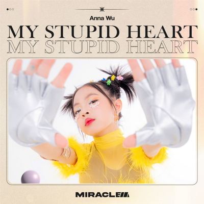 My Stupid Heart