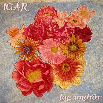 Jag Undrar