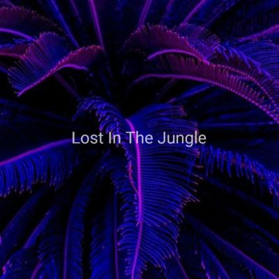 Lost in the Jungle