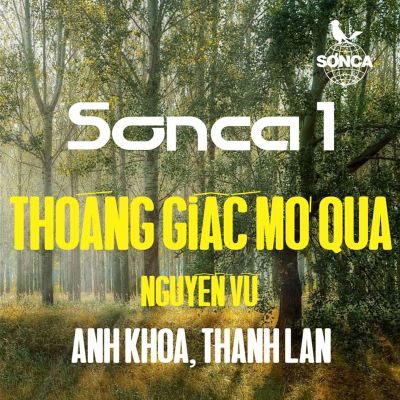 Thoáng Giấc Mơ Qua [1971]