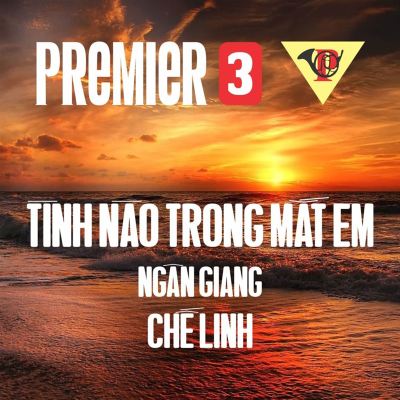 Tình Nào Trong Mắt Em [1972]