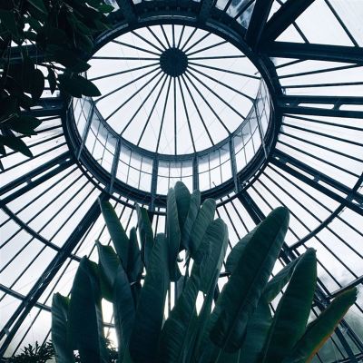 Hortus Botanicus