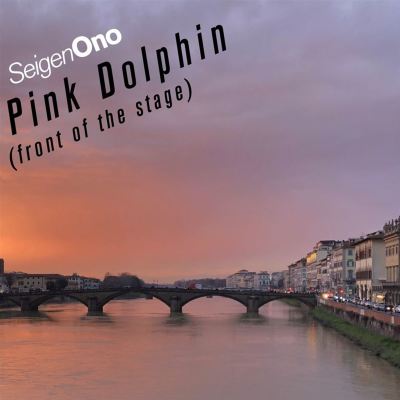 Pink Dolphin (front of the stage)