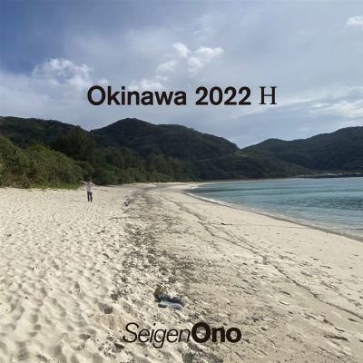 Okinawa 2022 H
