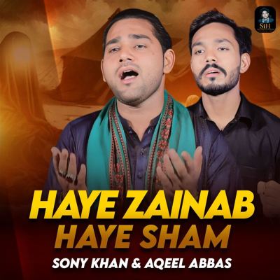 Haye Zainab Haye Sham