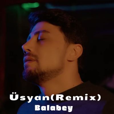 Üsyan