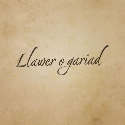 Llawer o Gariad