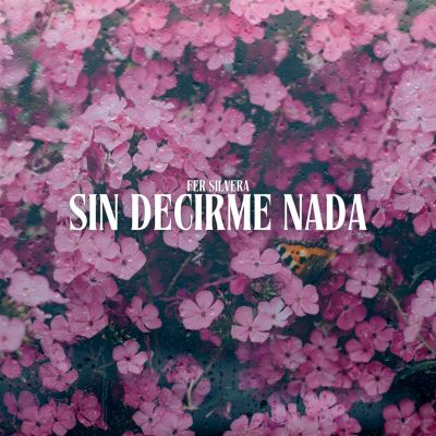 Sin Decirme Nada