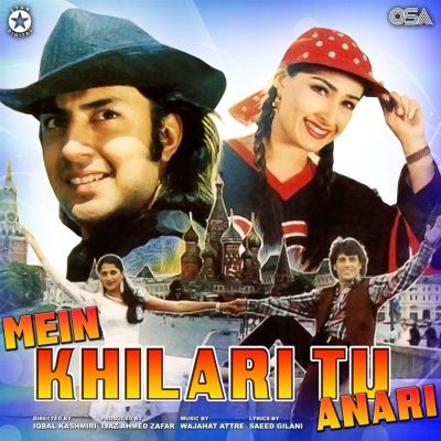 Mein Khilari Tu Anari [Original Motion Picture Soundtrack]