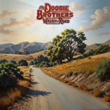 Album cover for Walk This Road by The Doobie Brothers