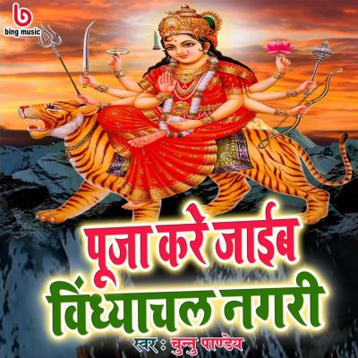 Puja Kare Jayib Vindyachal Nagri