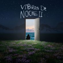 Vibras de Noche II