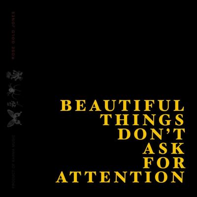 Beautiful Things Don't Ask for Attention