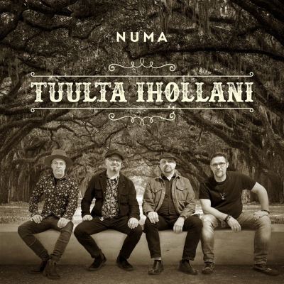 Tuulta Ihollani