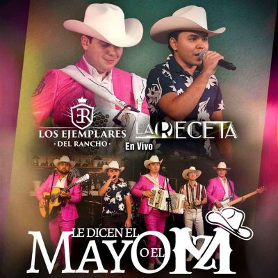 Le Dicen El Mayo O El MZ [En Vivo]