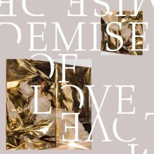 Album cover for Demise of Love by Demise of Love