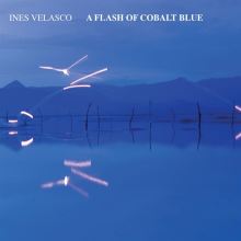 A Flash of Cobalt Blue